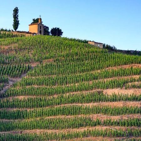Апартаменты Pres Des Vignes Crozes-Hermitage Экстерьер фото